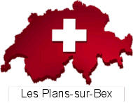 Les Plans-sur-Bex ( Waadt): Kartenlegen Hellsehen Wahrsagen