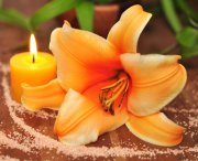 10 meditative Schritte Foto: © Printemps @ Fotolia 10 meditative Schritte Foto: © Printemps @ Fotolia