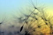 Burnout und Hypnose Foto: © supertramp8 @ Fotolia Burnout und Hypnose Foto: © supertramp8 @ Fotolia