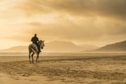 Der alte Mann und das Pferd Foto: © Andrew Lever @ Fotolia Der alte Mann und das Pferd Foto: © Andrew Lever @ Fotolia