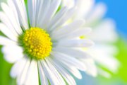 Ein Tag, wie kein anderer Foto: © BeTa @ Fotolia Ein Tag, wie kein anderer Foto: © BeTa @ Fotolia