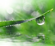 Einfach glücklich Foto: © vencav @ Fotolia Einfach glücklich Foto: © vencav @ Fotolia