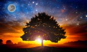 Energiesystem Foto: © rafo @ Fotolia Energiesystem Foto: © rafo @ Fotolia