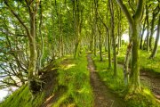 Geistesruhe Foto: © ferkelraggae @ Fotolia Geistesruhe Foto: © ferkelraggae @ Fotolia