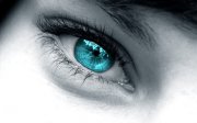 Meine Fähigkeiten © Jürgen Fälchle @ Fotolia Meine Fähigkeiten Foto: © Jürgen Fälchle @ Fotolia