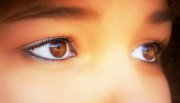 Intuition Foto: © Jürgen Fälchle @ Fotolia Intuition Foto: © Jürgen Fälchle @ Fotolia
