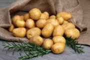 Kartoffel-Ritual Foto: © RRF @ Fotolia Kartoffel-Ritual Foto: © RRF @ Fotolia