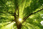LEBENS-QUALITÄT Foto: © Smileus @ Fotolia LEBENS-QUALITÄT Foto: © Smileus @ Fotolia