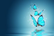 Magie praktisch anwenden Foto: © determined @ Fotolia Magie praktisch anwenden Foto: © determined @ Fotolia