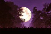 Mond Schlüsselwort: EMOTIONEN Foto: © boscorelli @ Fotolia Mond Schlüsselwort: EMOTIONEN Foto: © boscorelli @ Fotolia