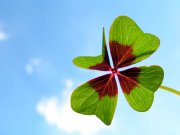 Positive Gedanken Foto: © Jürgen Acker @ Fotolia Positive Gedanken Foto: © Jürgen Acker @ Fotolia
