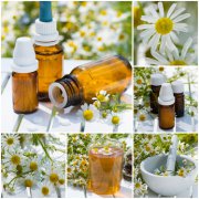 Schüssler Salze Foto: © DoraZett @ Fotolia Schüssler Salze Foto: © DoraZett @ Fotolia