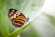 Seelen Balance mit Syrid- Marlen Foto: © magann @ Fotolia Seelen Balance mit Syrid- Marlen Foto: © magann @ Fotolia