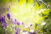 Selbstheilungskräfte Foto: © Floydine @ Fotolia Selbstheilungskräfte Foto: © Floydine @ Fotolia