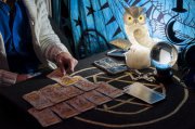 Tarot Foto: © zummolo @ Fotolia Tarot Foto: © zummolo @ Fotolia