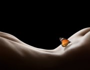 Untreue Foto: © Romolo Tavani @ Fotolia Untreue Foto: © Romolo Tavani @ Fotolia