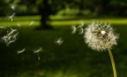 Wunsch-Bestellungen Foto: © photojustus @ Fotolia Wunsch-Bestellungen Foto: © photojustus @ Fotolia