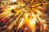 Astralreisen Foto: © Smileus @ Fotolia Astralreisen Foto: © Smileus @ Fotolia