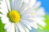 Blockadenlösung Foto: © BeTa_Artworks @ Fotolia Blockadenlösung Foto: © BeTa_Artworks @ Fotolia