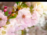 Fernheilung Foto: © Smileus @ Fotolia Fernheilung Foto: © Smileus @ Fotolia