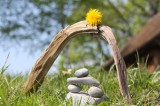 Heilerin Foto: © Abe Mossop @ Fotolia Heilerin Foto: © Abe Mossop @ Fotolia