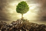 Lebensbaum Foto: © lassedesignen @ Fotolia Lebensbaum Foto: © lassedesignen @ Fotolia