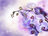 Lebensberatung Foto: © raduga21 @ Fotolia Lebensberatung Foto: © raduga21 @ Fotolia