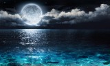 Mond Foto: © Romolo_Tavani @ Fotolia Mond Foto: © Romolo_Tavani @ Fotolia