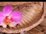 Pendeln Foto: © Marina Lohrbach @ Fotolia Pendeln Foto: © Marina Lohrbach @ Fotolia
