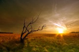 Rückführungen Foto: © Deviant @ Fotolia Rückführungen Foto: © Deviant @ Fotolia