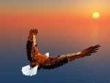 Schamanen Foto: © Michael Rosskothen @ Fotolia Schamanen Foto: © Michael Rosskothen @ Fotolia