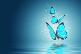 Schutz vor Schwarzmagie Foto: © determined @ Fotolia Schutz vor Schwarzmagie Foto: © determined @ Fotolia