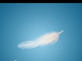 Spirituelle Einweihung Foto: © Musicman80 @ Fotolia Spirituelle Einweihung Foto: © Musicman80 @ Fotolia