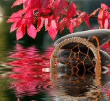 Traumdeutung Foto: © Gerhard Seybert @ Fotolia Traumdeutung Foto: © Gerhard Seybert @ Fotolia
