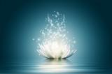 Weissmagisch Foto: © determined @ Fotolia Weissmagisch Foto: © determined @ Fotolia