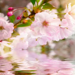 Fernheilung © Smileus @ Fotolia Fernheilung Foto: © Smileus @ Fotolia