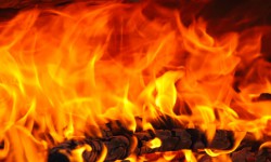Feuerlesung © ccke @ Fotolia Feuerlesung Foto: © ccke @ Fotolia