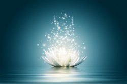 Weissmagisch © determined @ Fotolia Weissmagisch Foto: © determined @ Fotolia