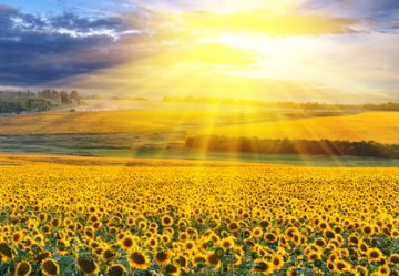 Hypnose - die Reise ins Unterbewusstsein Foto: © Artur Synenko @ Fotolia