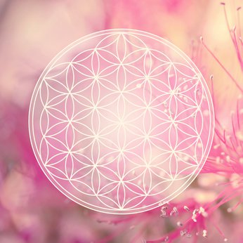 Reiki: Alternative Methode ohne Nebenwirkungen Foto: © reichdernatur @ Fotolia