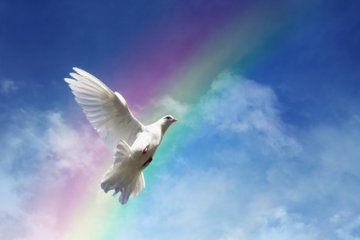 Magie - funktioniert sie wirklich? Foto: © Brian Jackson @ Fotolia
