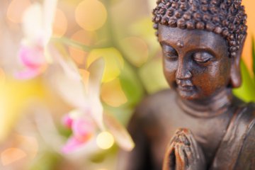 Reiki - Untersttzung fr alle Lebewesen Foto: © Floydine @ Fotolia