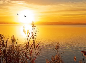 Trauer - Einen Verlust verarbeiten braucht Zeit  Foto: &copy;  kesipun @ Fotolia