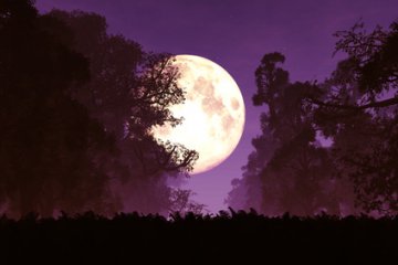 Vollmond und abnehmender Mond - ungeahnte Krfte Foto: © boscorelli @ Fotolia