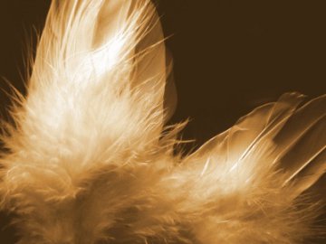 NLP - von der Vielseitigkeit profitieren Foto: © Sandra Mora @ Fotolia