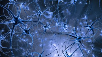 Telepathie als Hilfsmittel in Liebesangelegenheiten Telepathie als Hilfsmittel in Liebesangelegenheiten  Foto: ©  Sanja Karin Music @ shutterstock