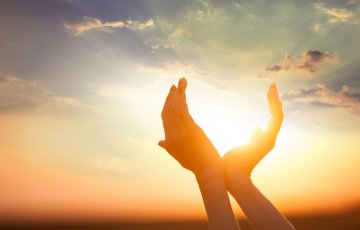 Krafttiere: Schutzengel und spirituelle Begleiter Foto: © Masson @ shutterstock