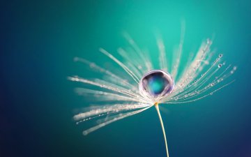Die zehn hufigsten Traumsymbole und ihre Bedeutung Foto: © LedyX @ shutterstock