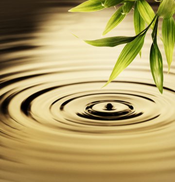 Wasserlesen  Eine uralte Wahrsagemethode Foto: © Nejron Photo @ shutterstock