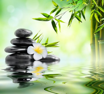 Reiki als Kunst der Energiebertragung - Wo wird es eingesetzt? Foto: © Romolo Tavani @ shutterstock